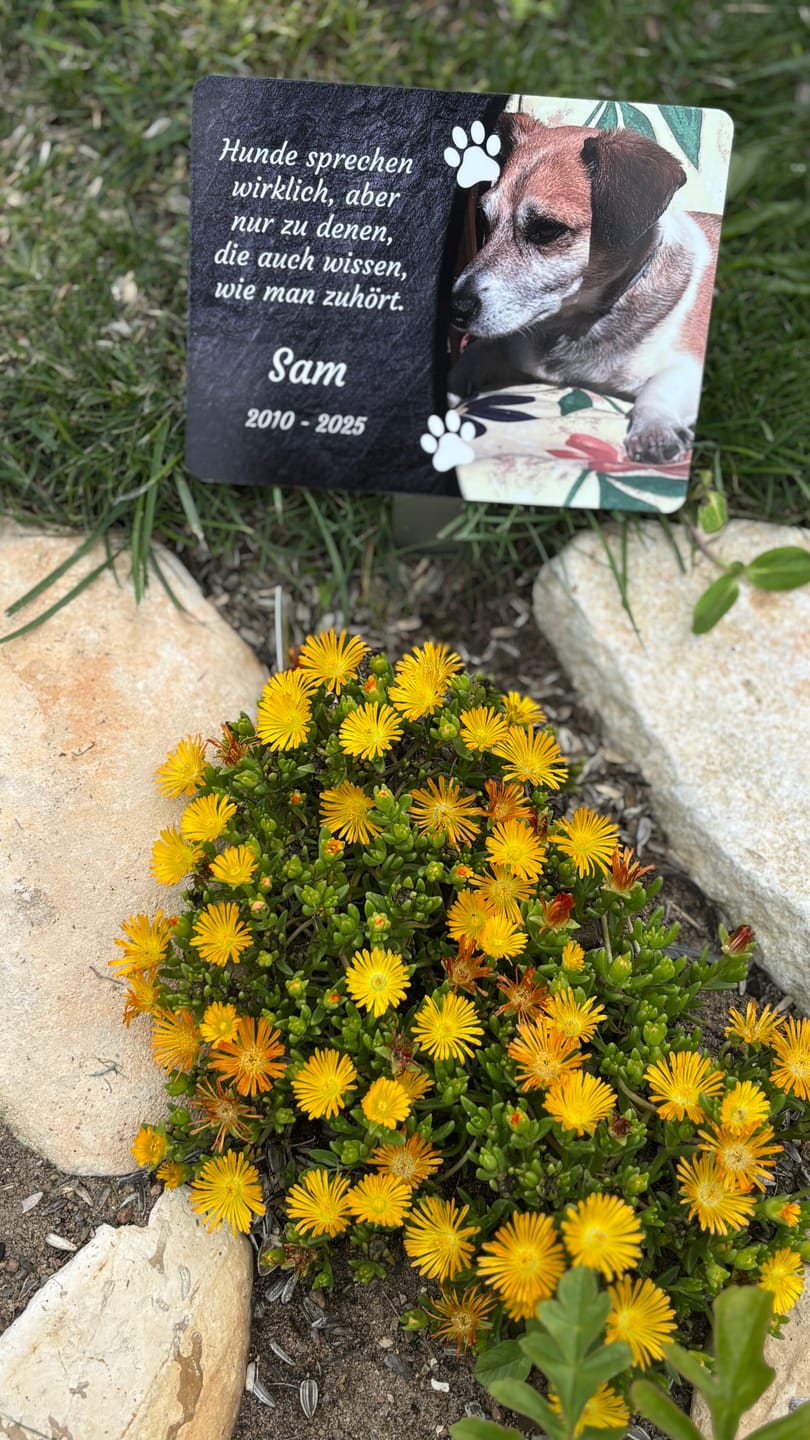 Customer photo review of Hunde Gedenktafel mit Foto & Spruch (UV- & Wetterfest)