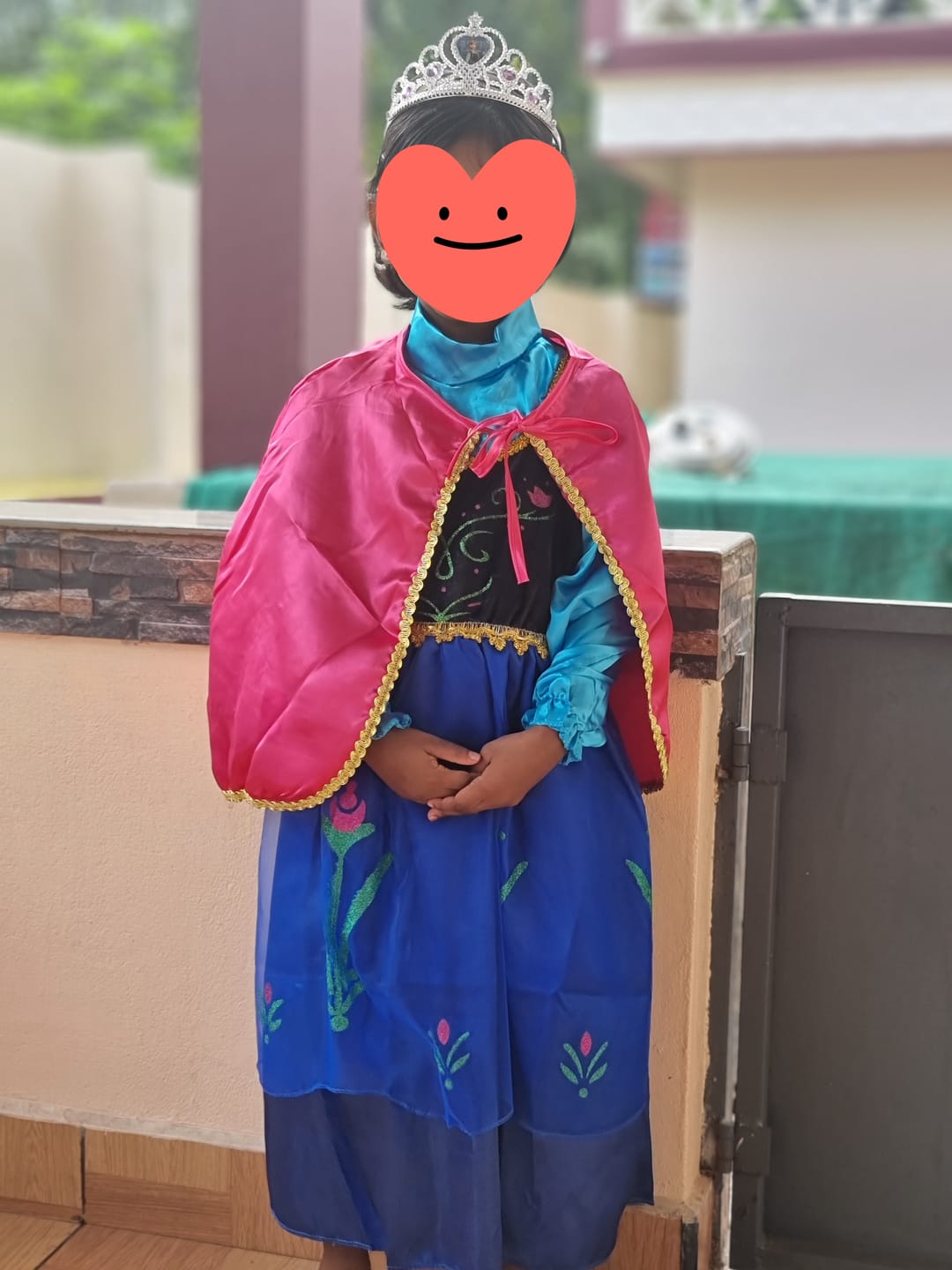 Customer photo review of Frozen Princess Anna Costume