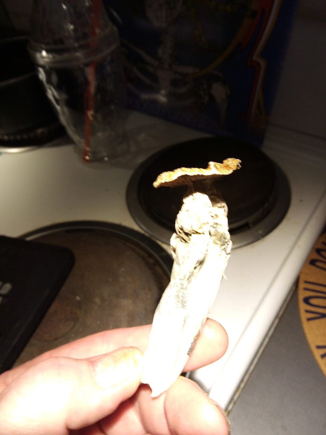 Customer photo review of Non Detect Raw Mushrooms