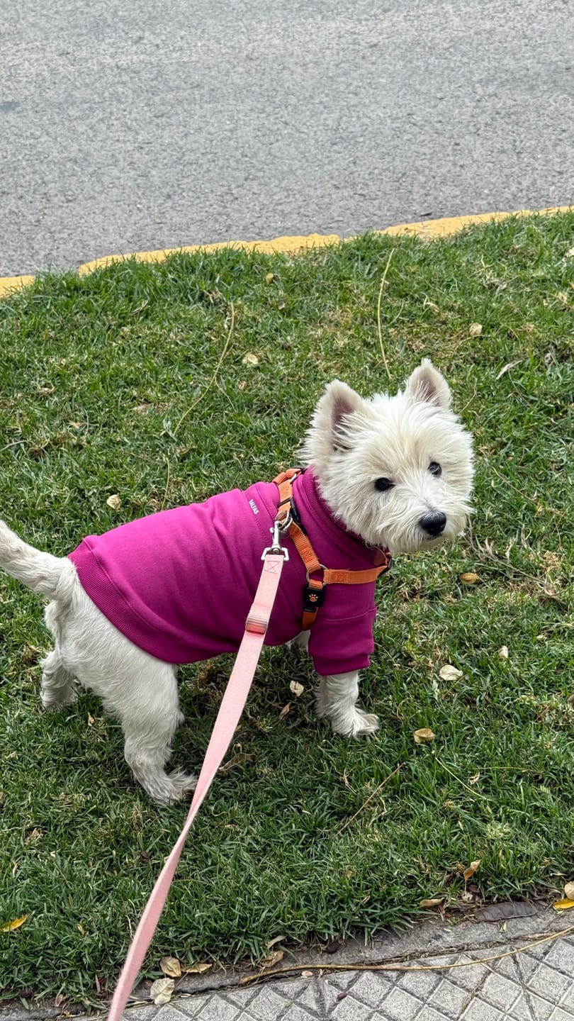 Customer photo review of Poleron Altitud Magenta