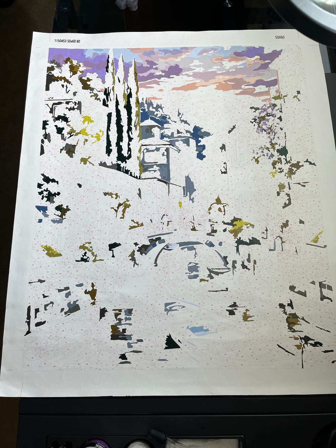 Customer photo review of Sunset Italian Canal Village (80 Colors)