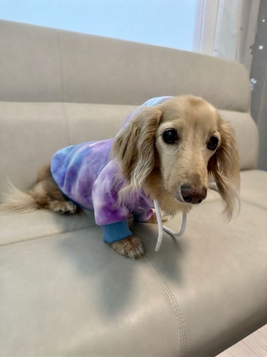 Customer photo review of Velvet Human Hoodie - 90s Retro
