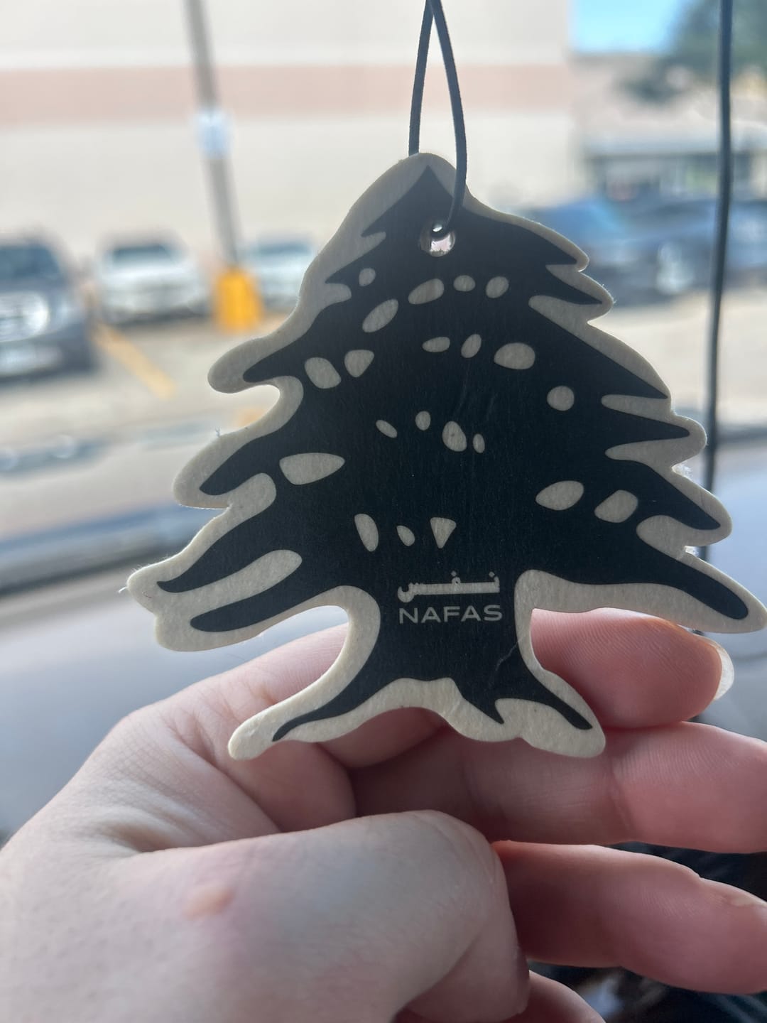 Customer photo review of Black Cedar Air Freshener + Sticker Pack