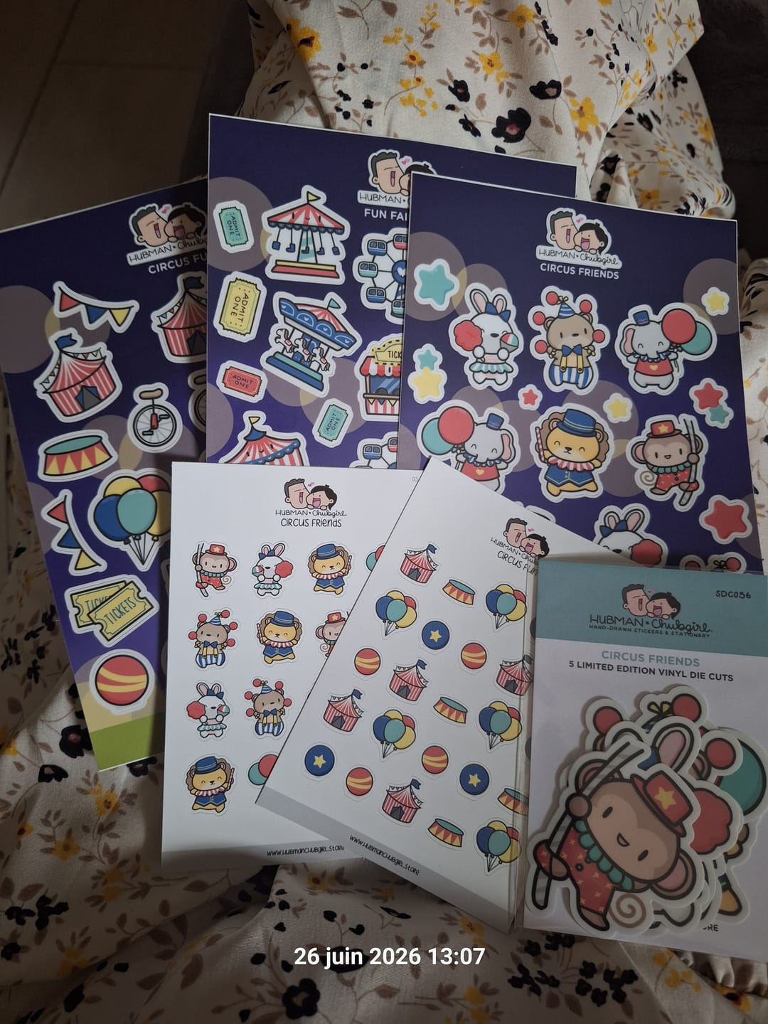 Customer photo review of Circus Friends Sticker Set