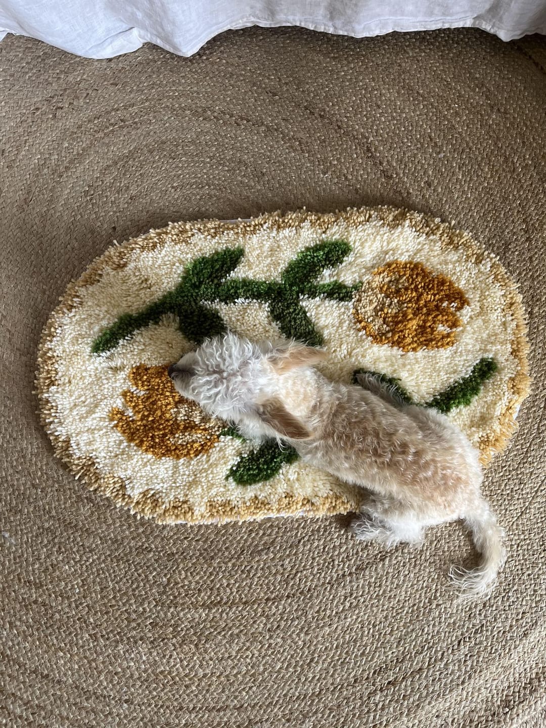 Customer photo review of AMSTERDAM TULIP FEVER - XL Rug Making Kit