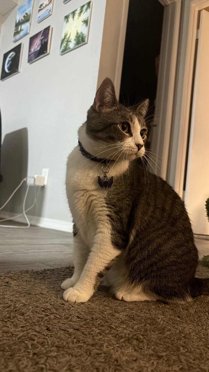 Customer photo review of PET TAG
