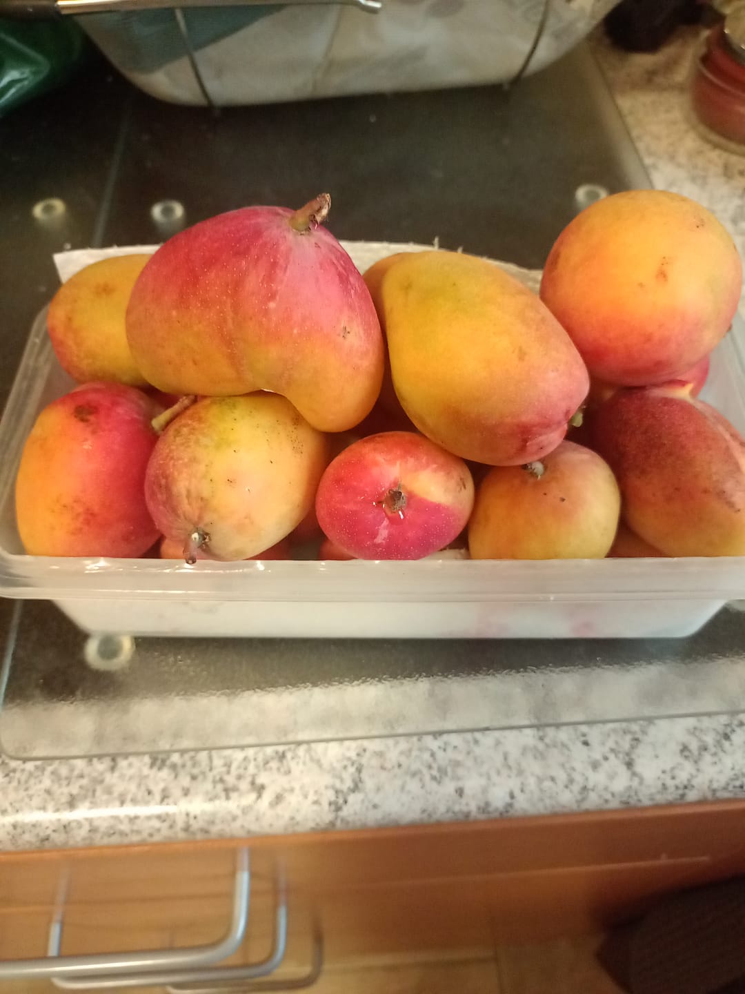 Customer photo review of Baby-Mango Irwin Bio von Julian