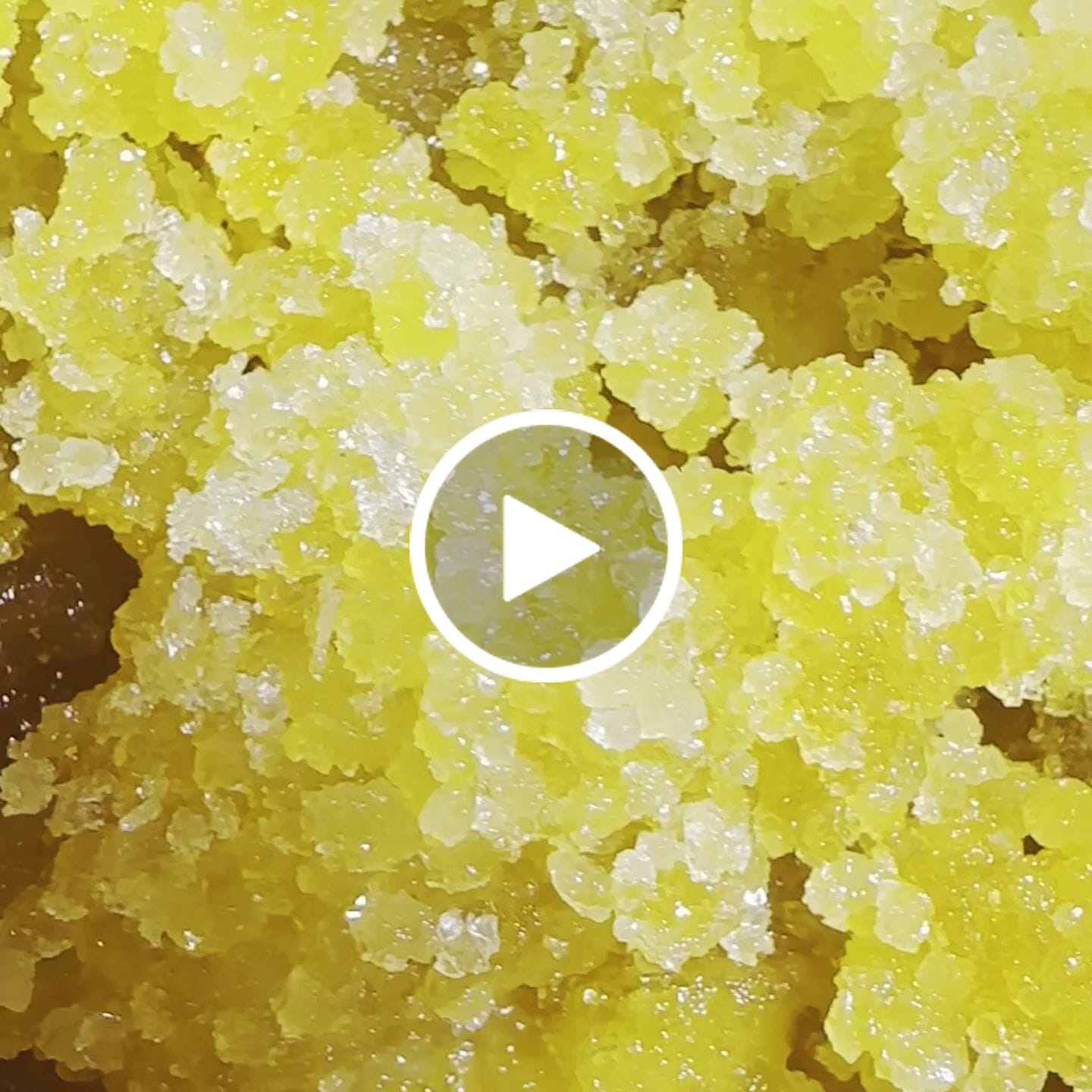 Customer video review of Legendary Honey Crystal Pineapple Express 3.5G (BOGO)