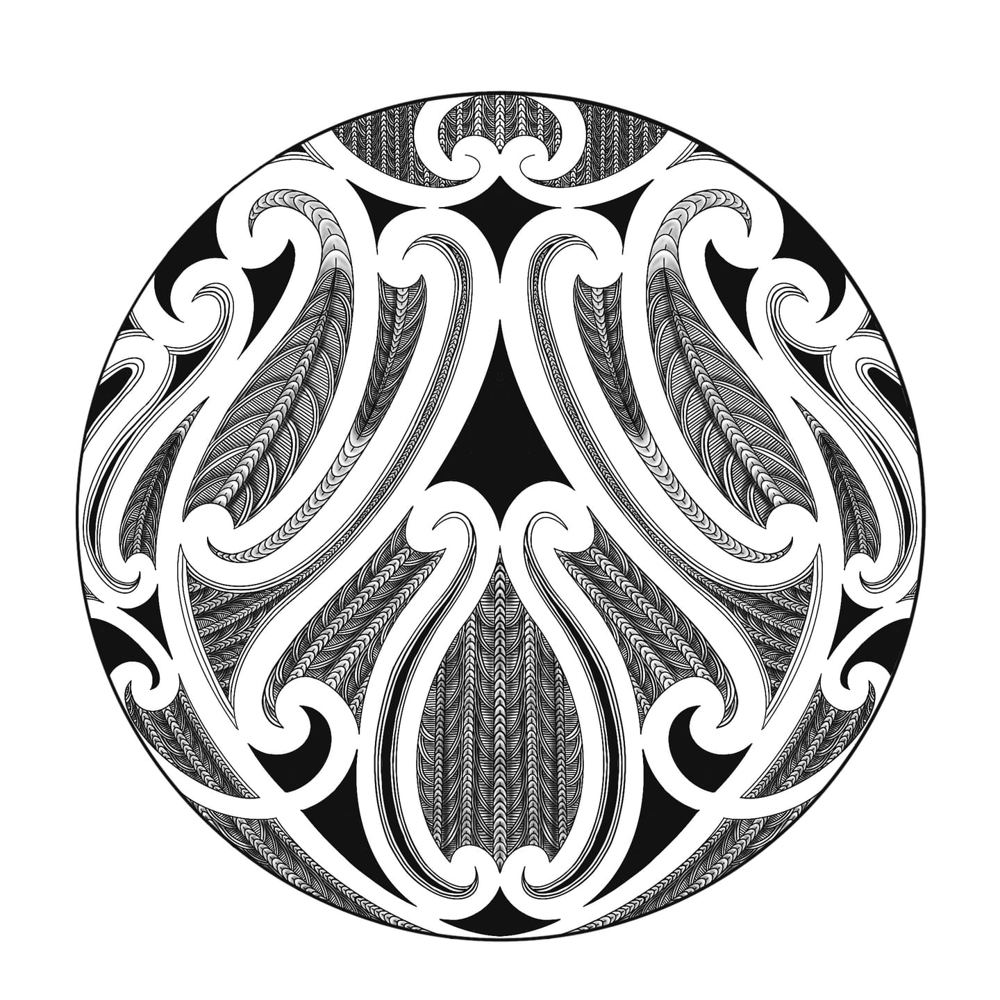 Customer photo review of Easy Māori Patterns: Volume 1 & 2 Bundle — Colour, Draw & Create
