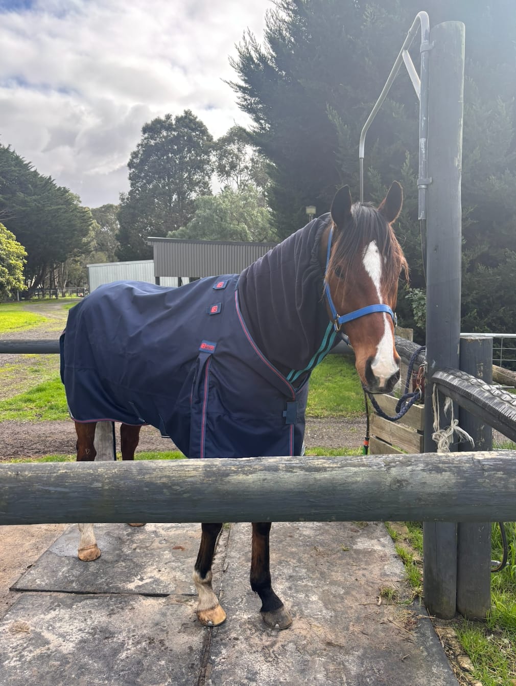 Customer photo review of LE Boxter Turnout Ripstop 0g with Fleece