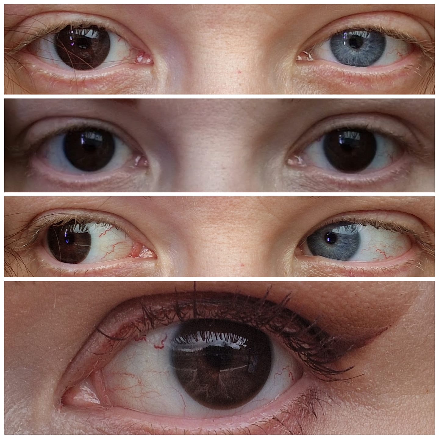 Customer photo review of Eyeling Dark Brown