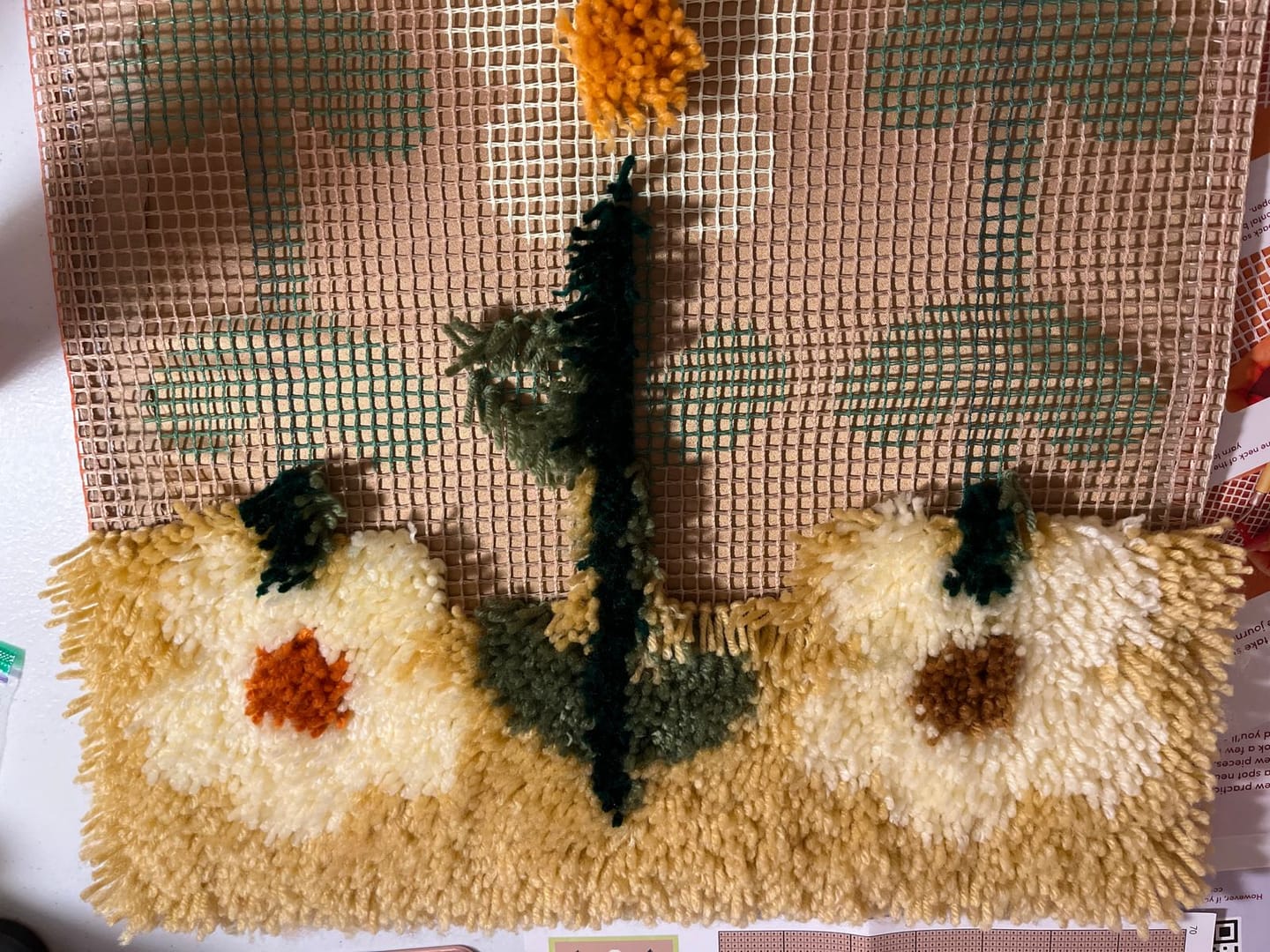 Customer photo review of EARTHY PICK OF THE BUNCH - Latch Hook Cushion Kit