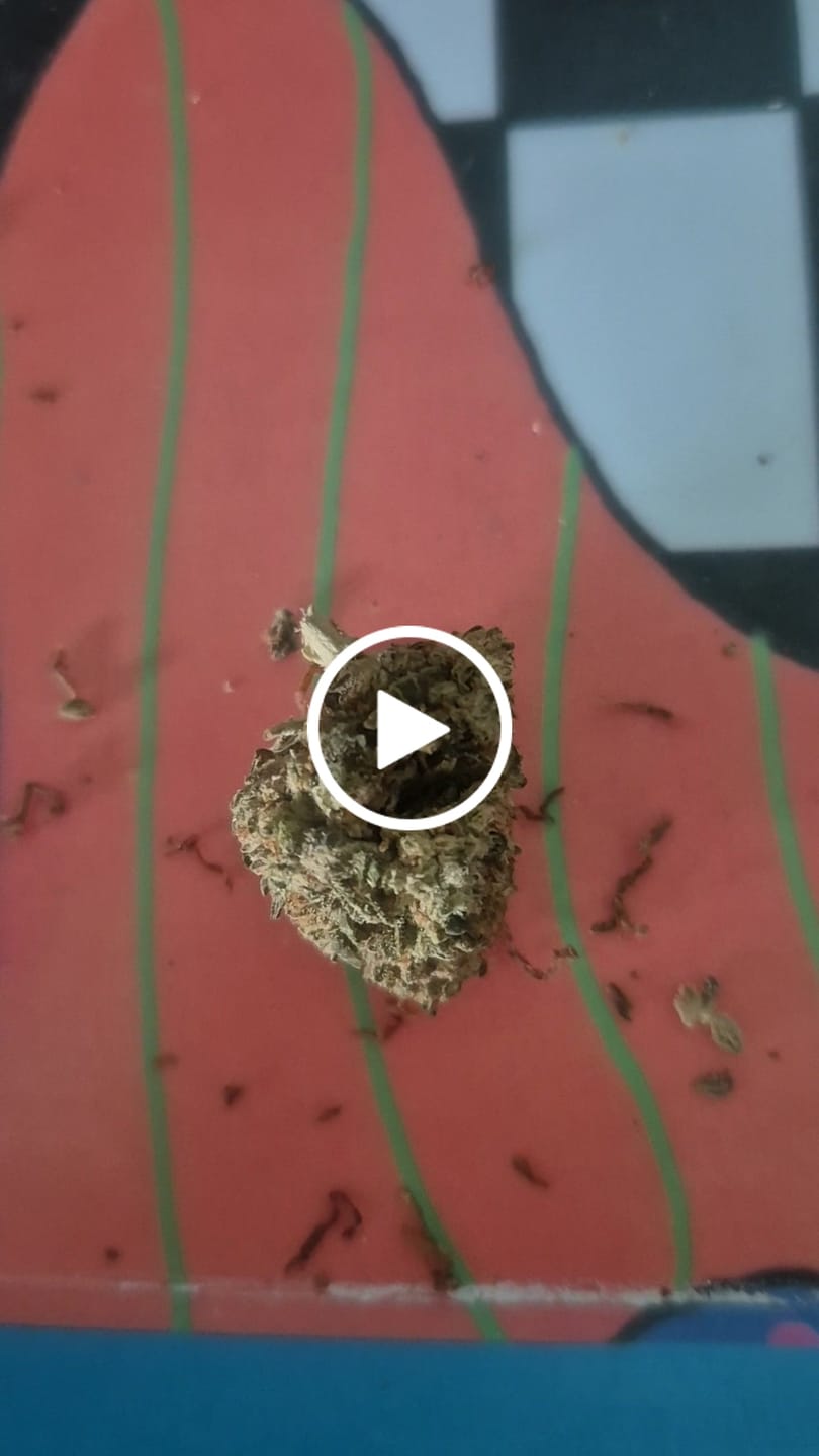 Customer video review of 🍓 Strawberry - POWER LVL: 4.5/5