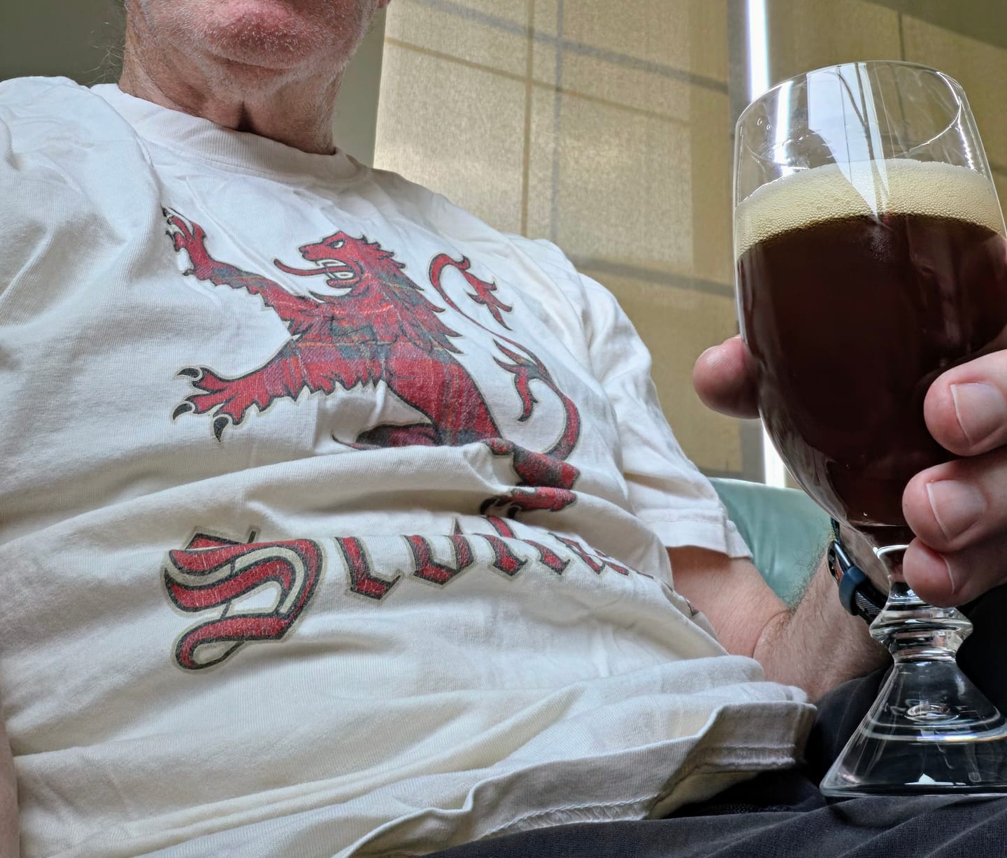Customer photo review of Scotland Tartan Lion T-Shirt