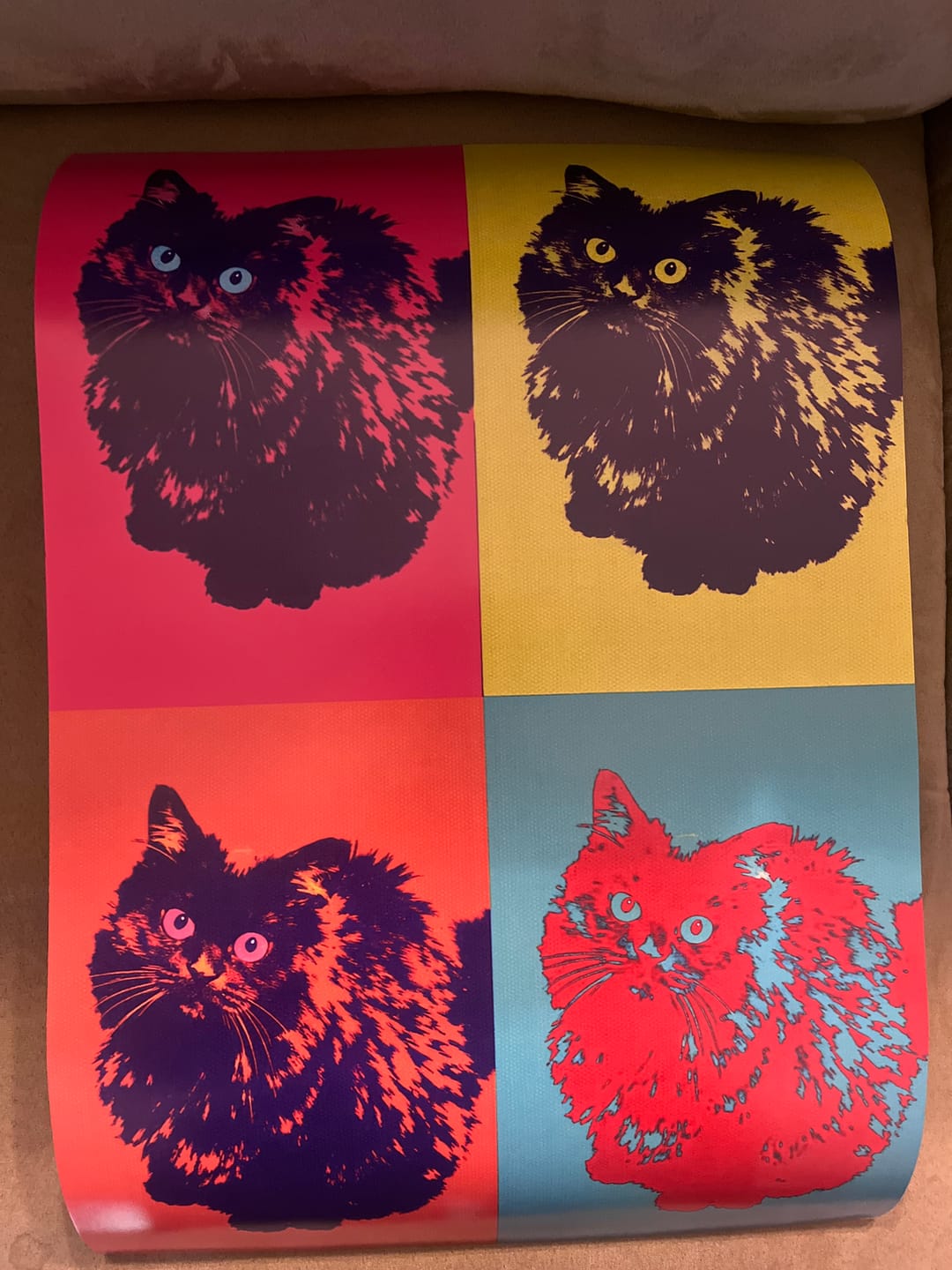 Customer photo review of Color Squares - Personalized Poster