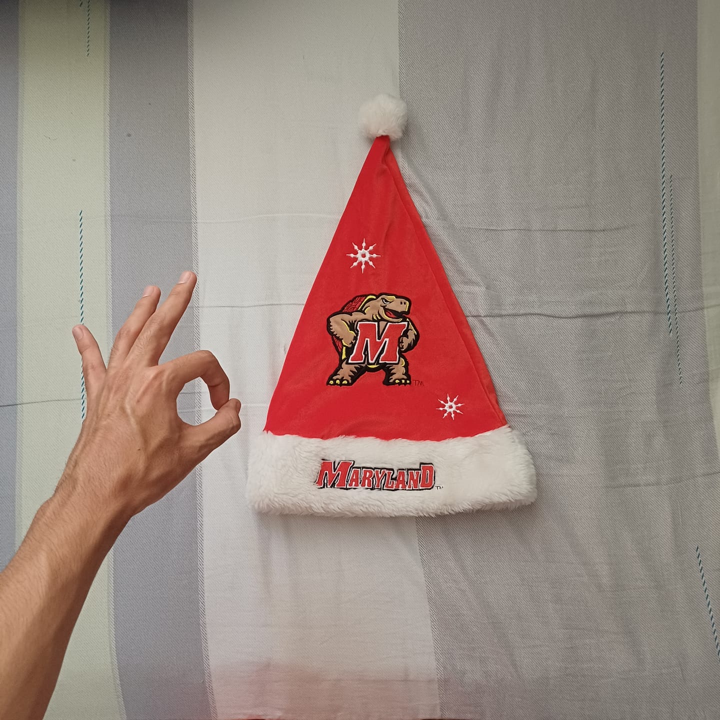 Customer photo review of Christmas Hat Maryland