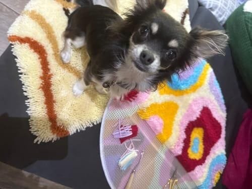 Customer photo review of PSYCHEDELIA - Rug Making Kit