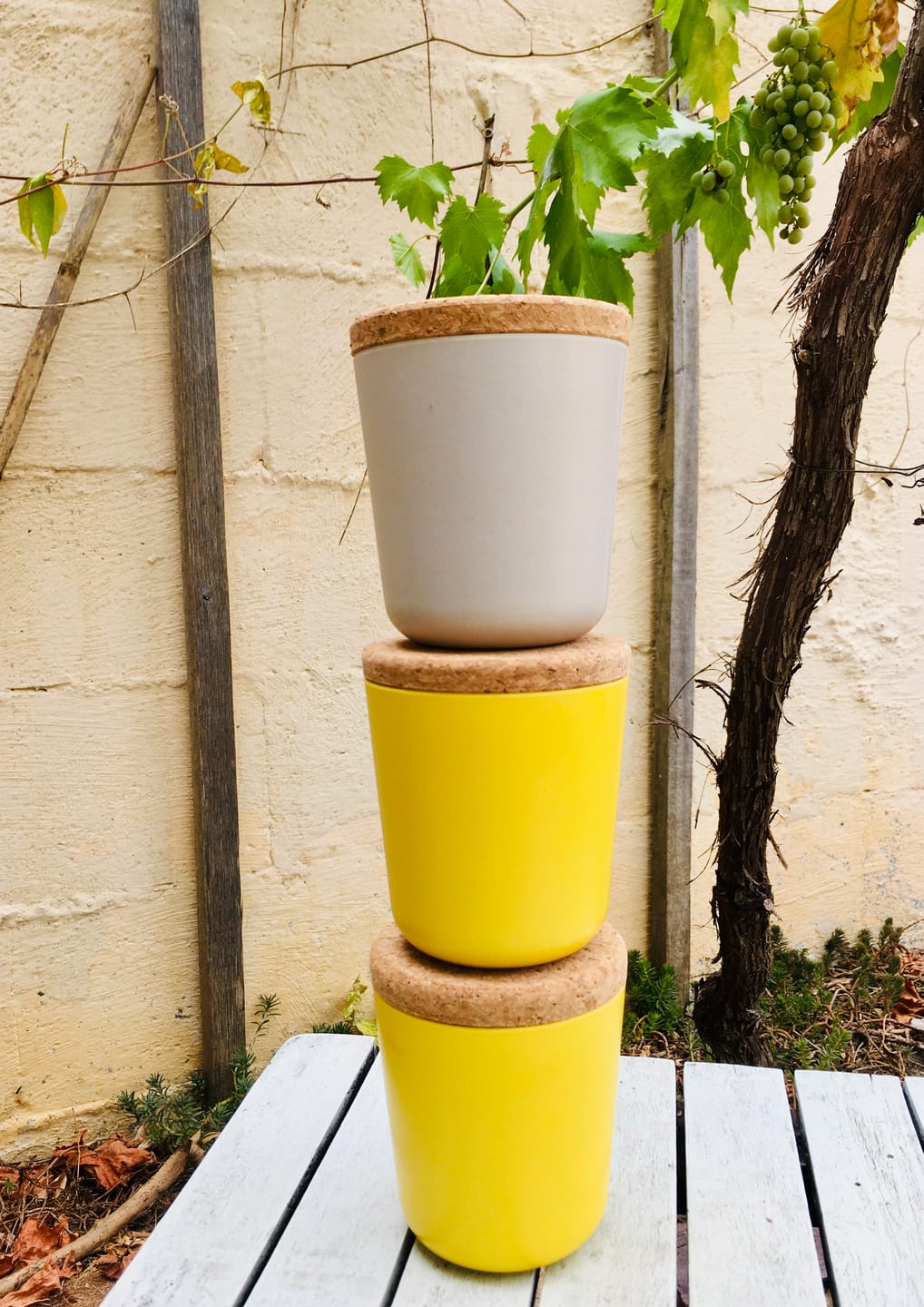 Customer photo review of Large Storage Canister - Lemon