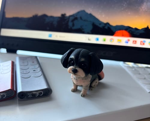 Customer's DoDoWish personalized dog figurine on a desk, noted by the reviewer as having an unexpected pink tail color.