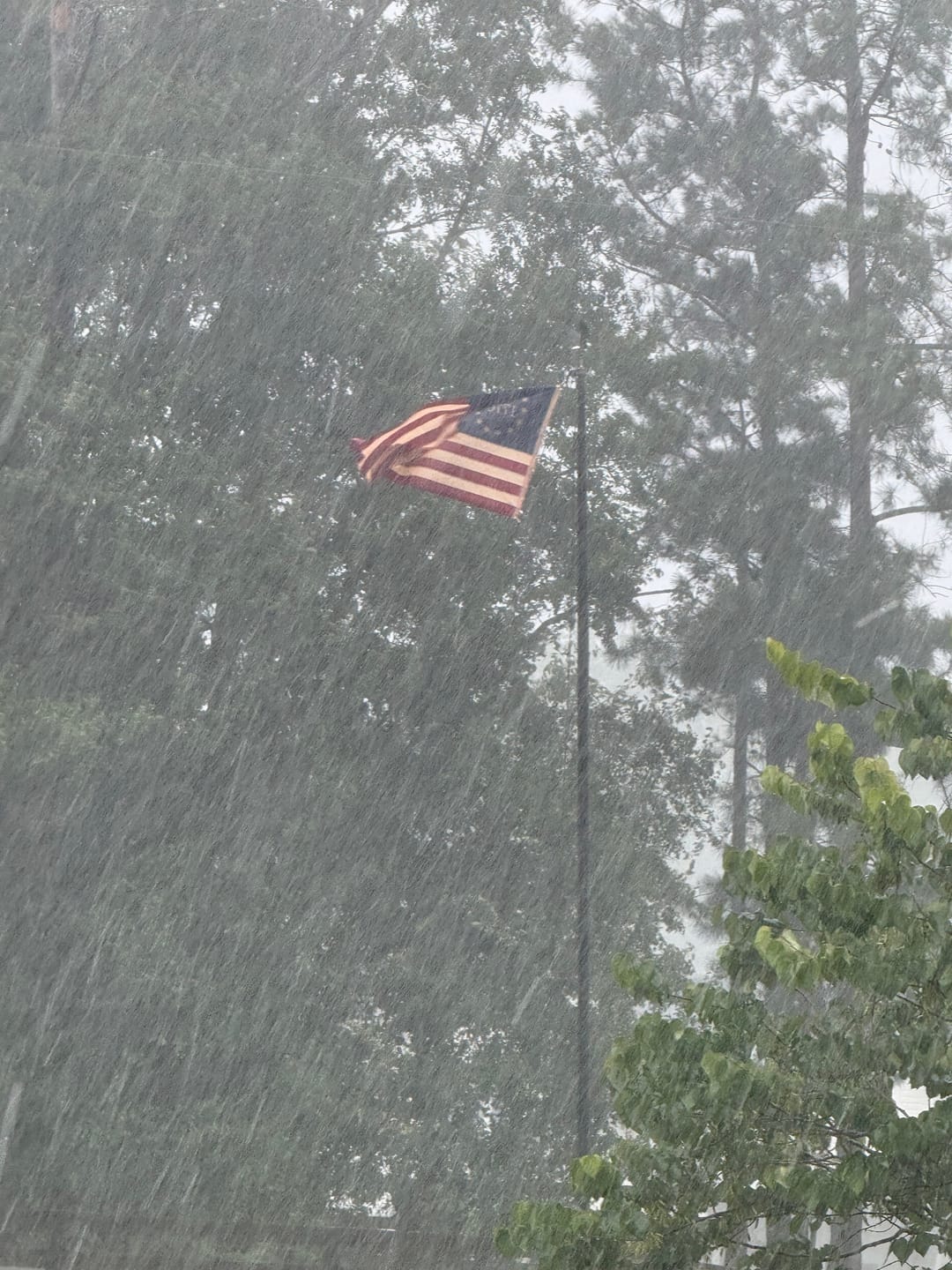 Customer photo review of Heavy Duty American Nylon Flag - Made In USA