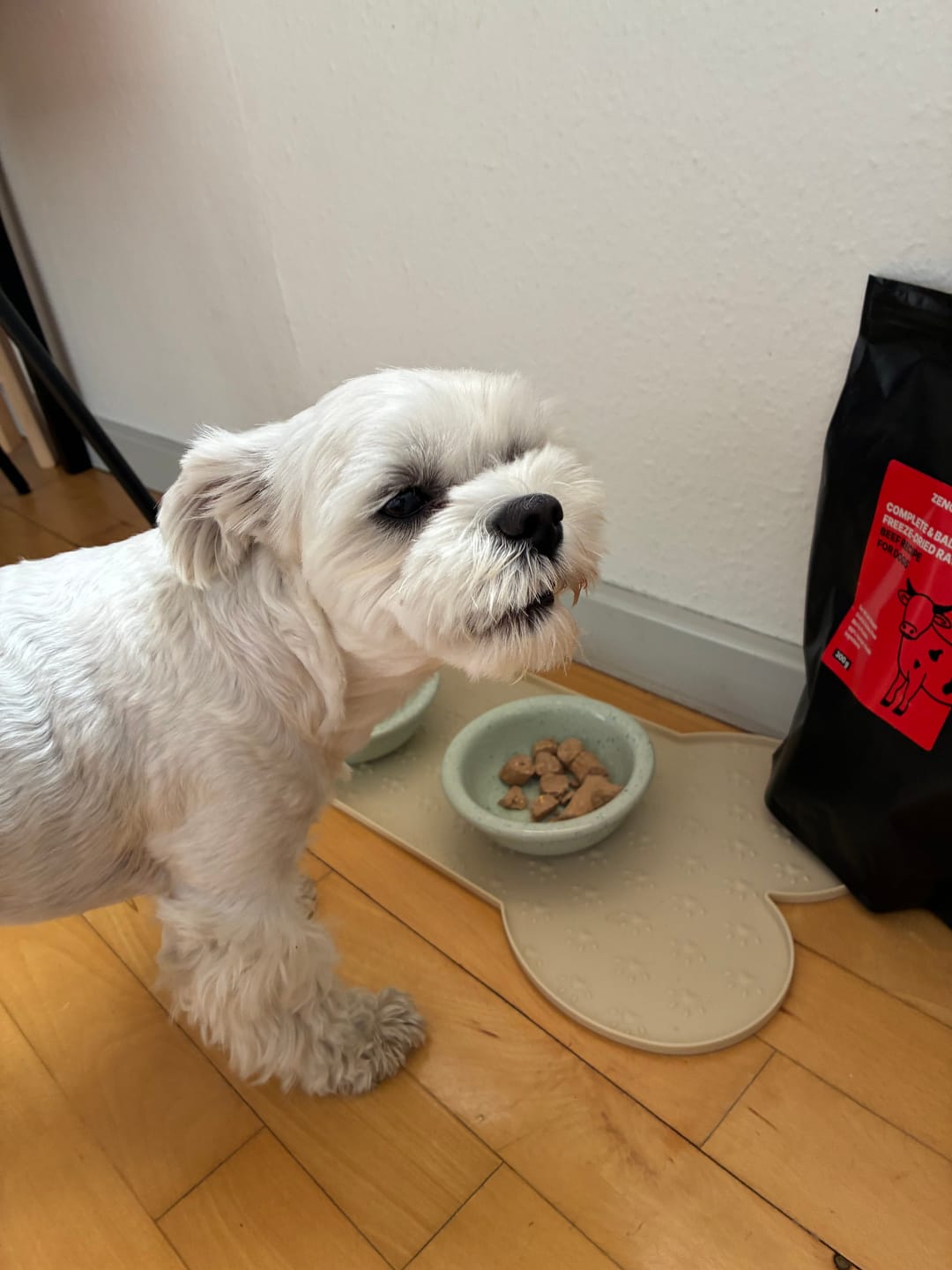 Customer photo review of Natural & Balanced Beef Recipe For Dogs