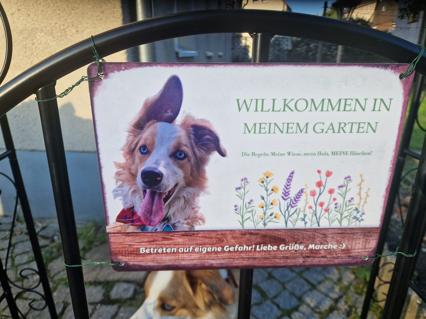 Customer photo review of Hunde Garten-Schild personalisiert mit Foto & Text (UV- und wetterfest)