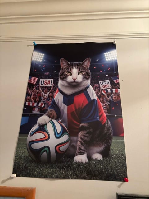 Customer photo review of World Cup - Personalized Poster