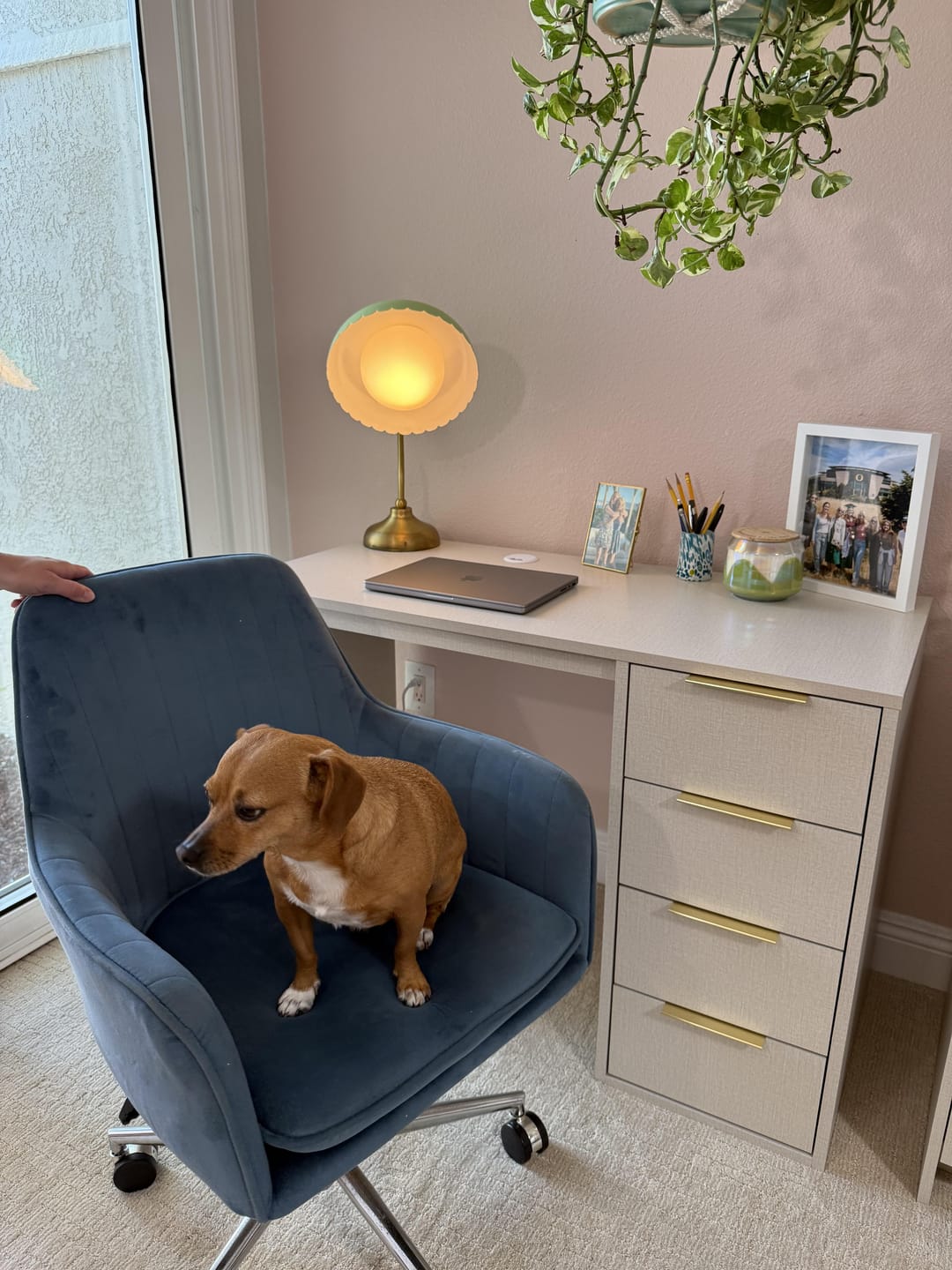 Customer photo review of Screw-U Desk