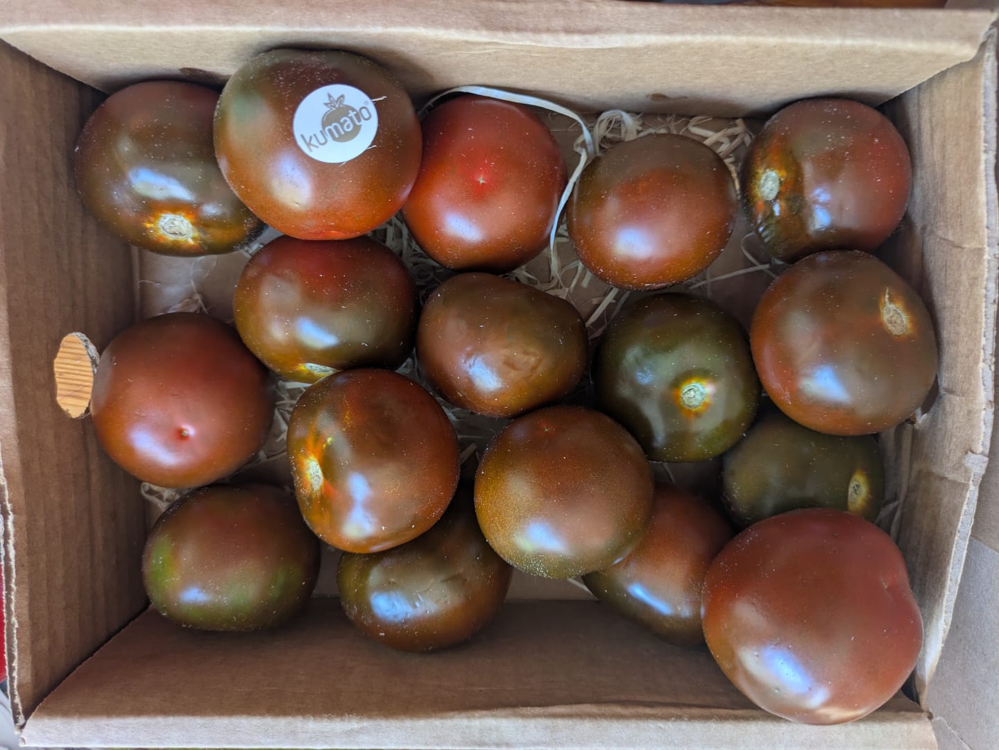 Customer photo review of Tomaten schwarz "Kumato" von Julian