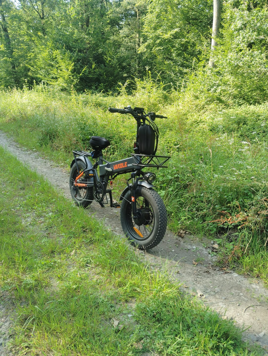 Customer photo review of Vakole CO20 MAX 750W*2 Dual Motor 20" Folding Fat Bike 960Wh with Torque Sensor 20Ah Battery