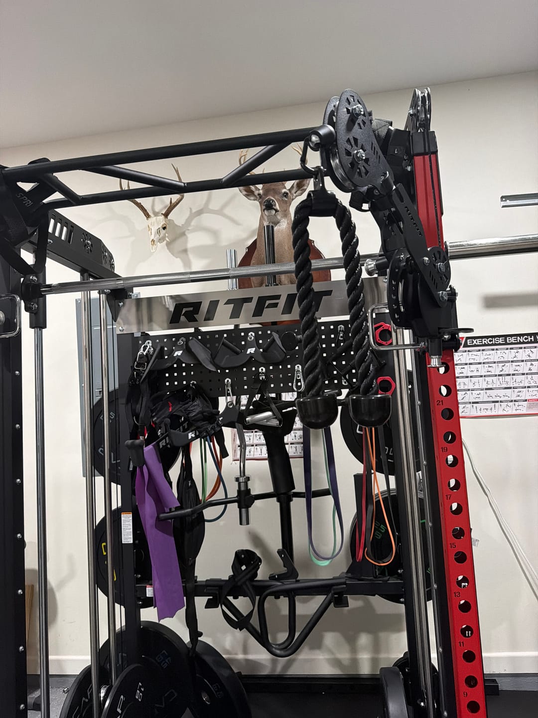 Customer photo review of RitFit TAM1 Tornado Arm Attachment (Only for M1 PRO)