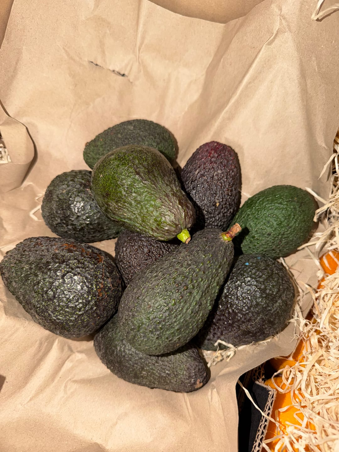 Customer photo review of Avocado Hass & Lamb Hass 15 Monate baumgereift von Julian