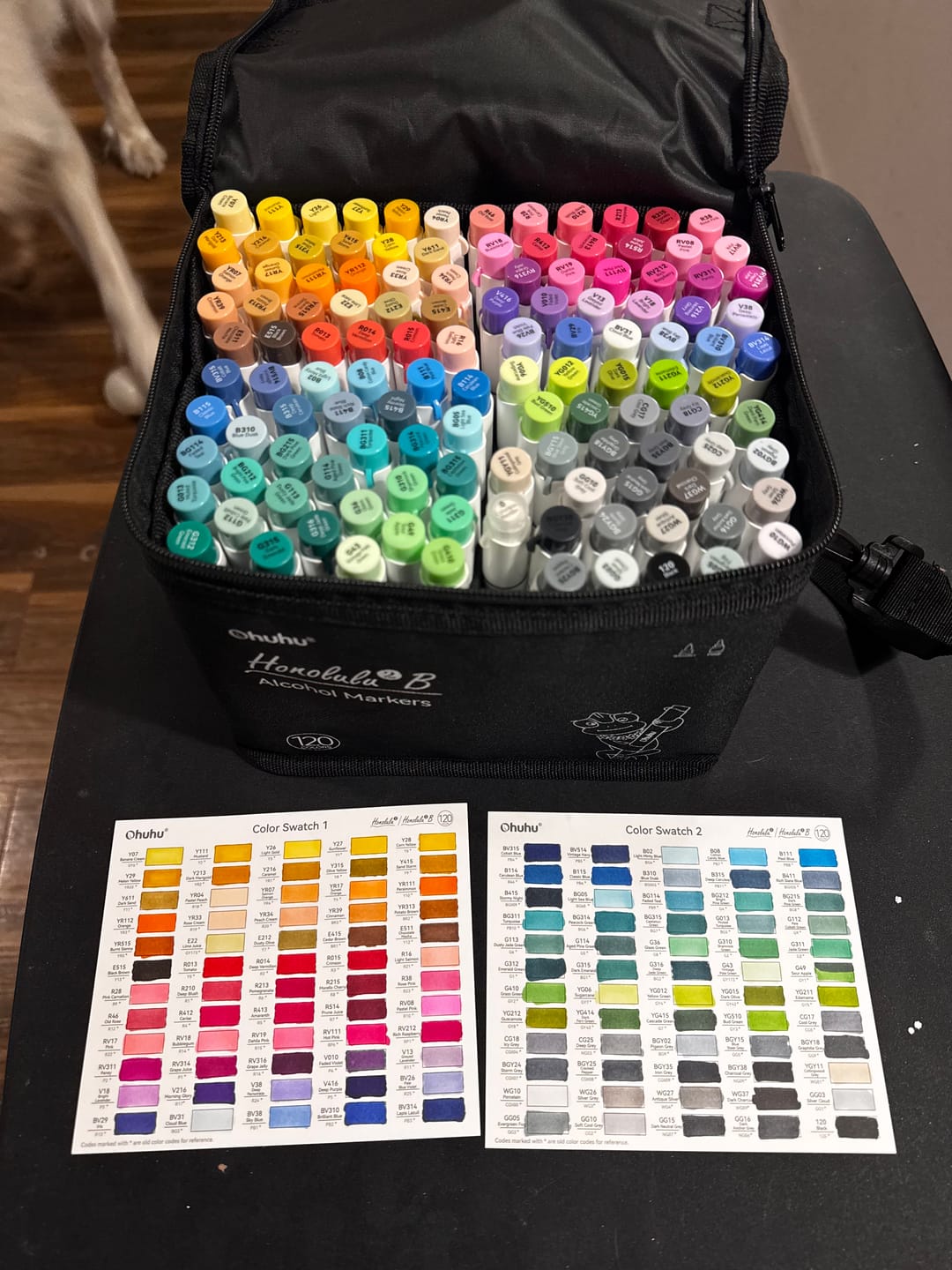 Customer photo review of Ohuhu Honolulu 6 Colors Dual Tips Alcohol Art Markers (New Color Codes)