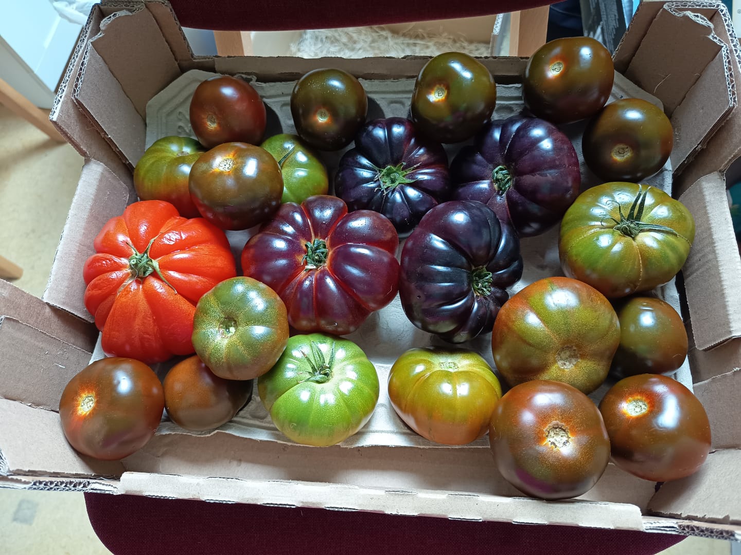 Customer photo review of Tomaten Mix von Julian Box 3kg Aktionswoche %