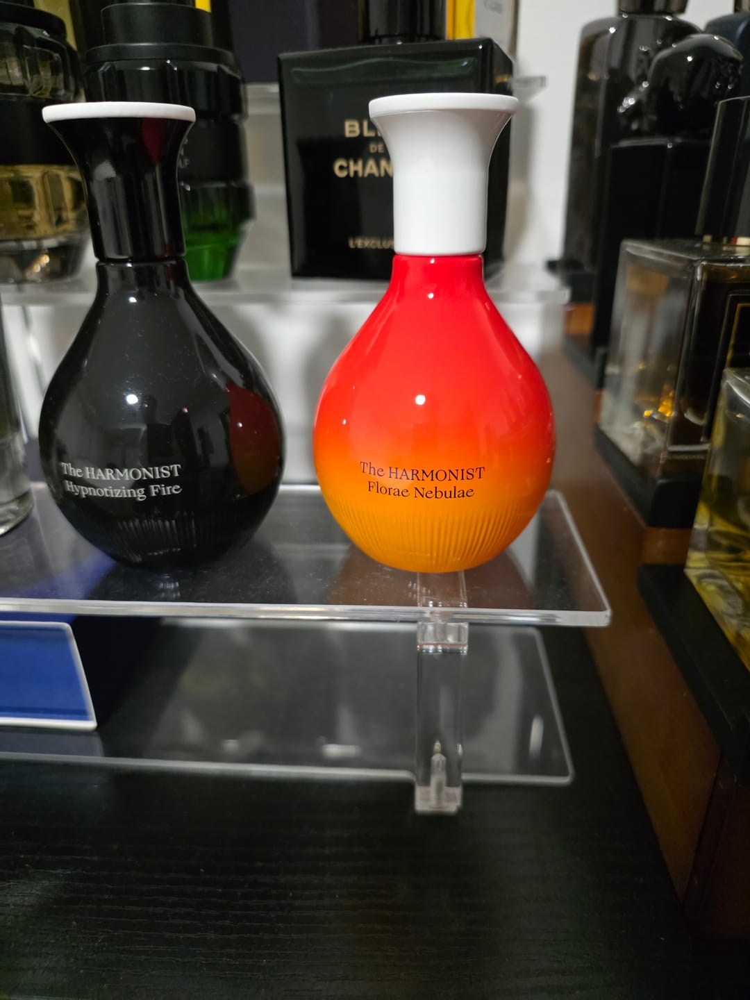Customer photo review of Florae Nebulae The Harmonist Parfum