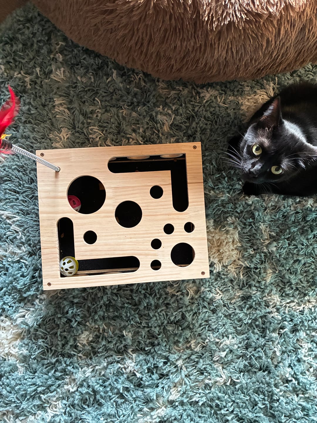 Customer photo review of ClawEase™ Cat Nail Filing Box