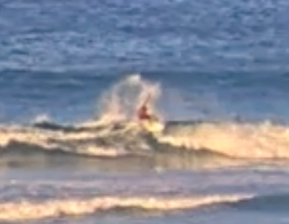 Customer photo review of Firewire Dan Mann Spun Honey Helium 2 (5'4 - 6'4) Futures