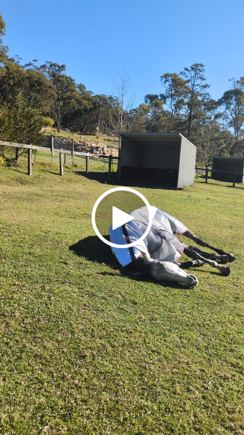 Customer video review of LE Breeze Summer Sheet with Fieldsafe Front