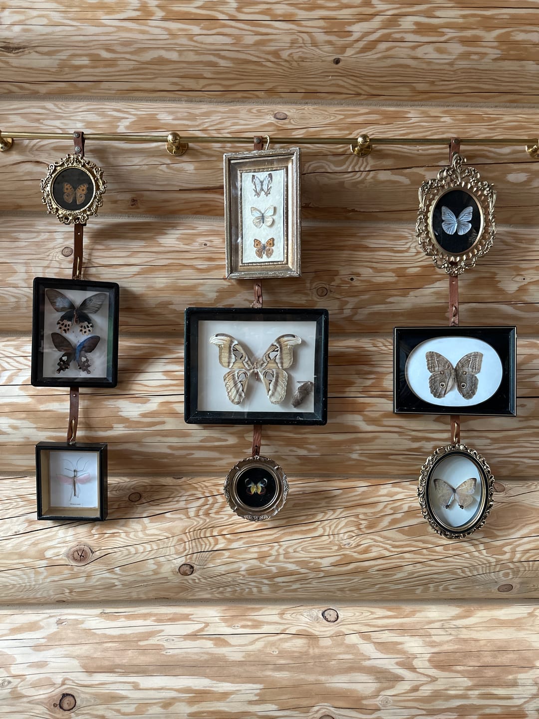 Customer photo review of Unlacquered Brass Picture Rail with Genuine Leather Straps #VFK277