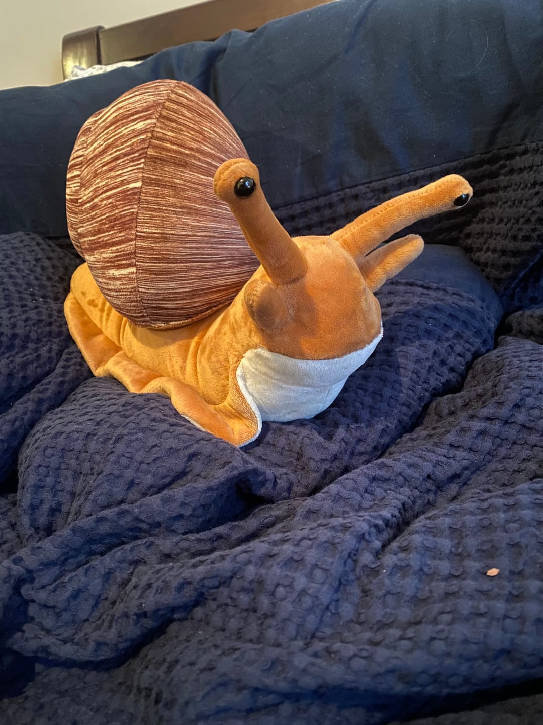 Customer photo review of Snail Soft Stuffed Plush Toy