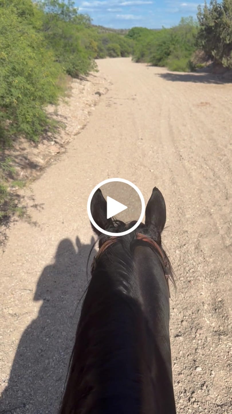 Customer video review of OptiWize Collagen +Plus Horse Joint Supplement