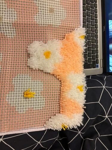 Customer photo review of DAISY - Rug Making Kit