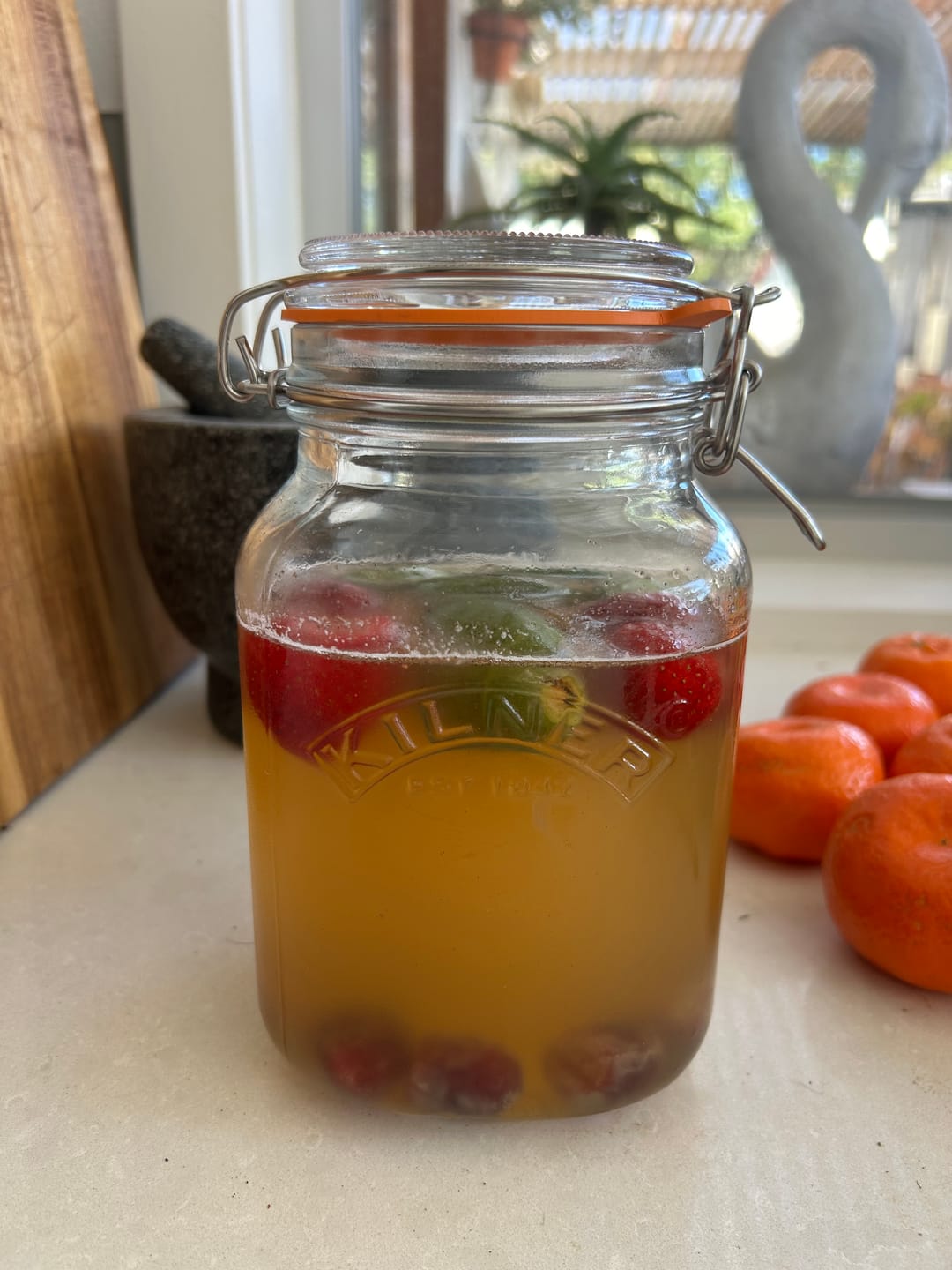 Customer photo review of WATER WORKS - 1st ferment Water Kefir Pouch Monthly Subscription