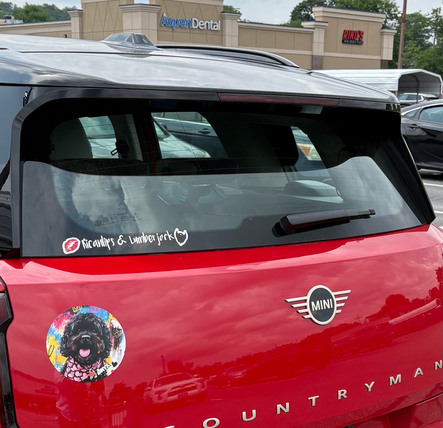 Customer photo review of Graffiti - Personalized Car Magnet