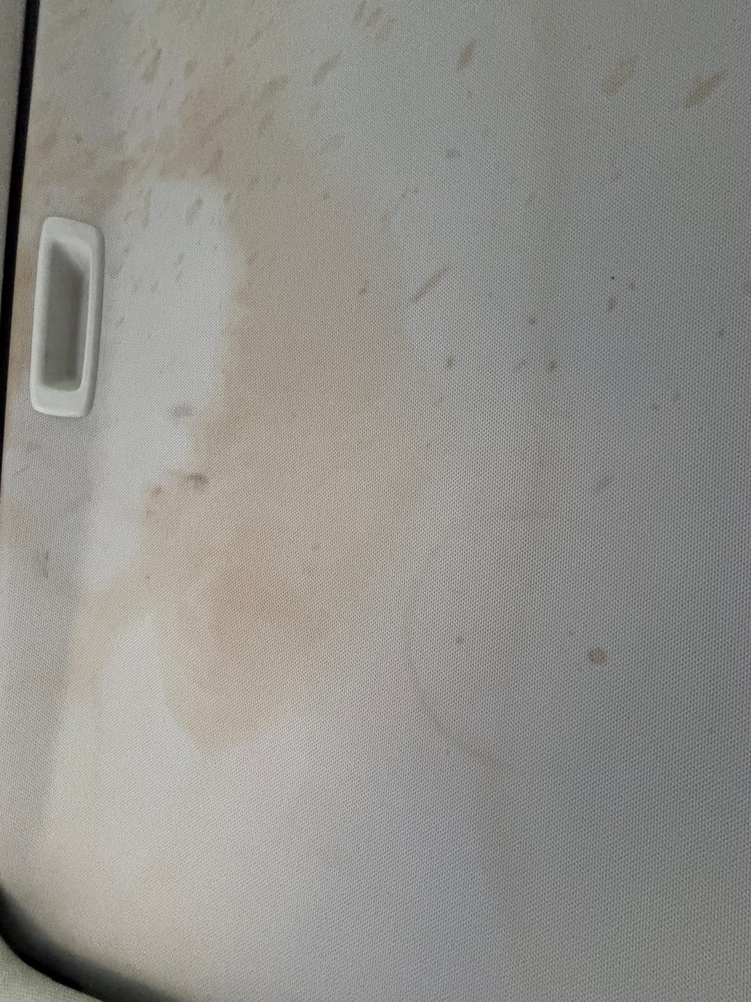 Customer photo review of ~ Releasit Encap-Spot – Encapsulation Carpet Spot Remover and Odor Treatment Encapsulation Carpet (1 Quart)