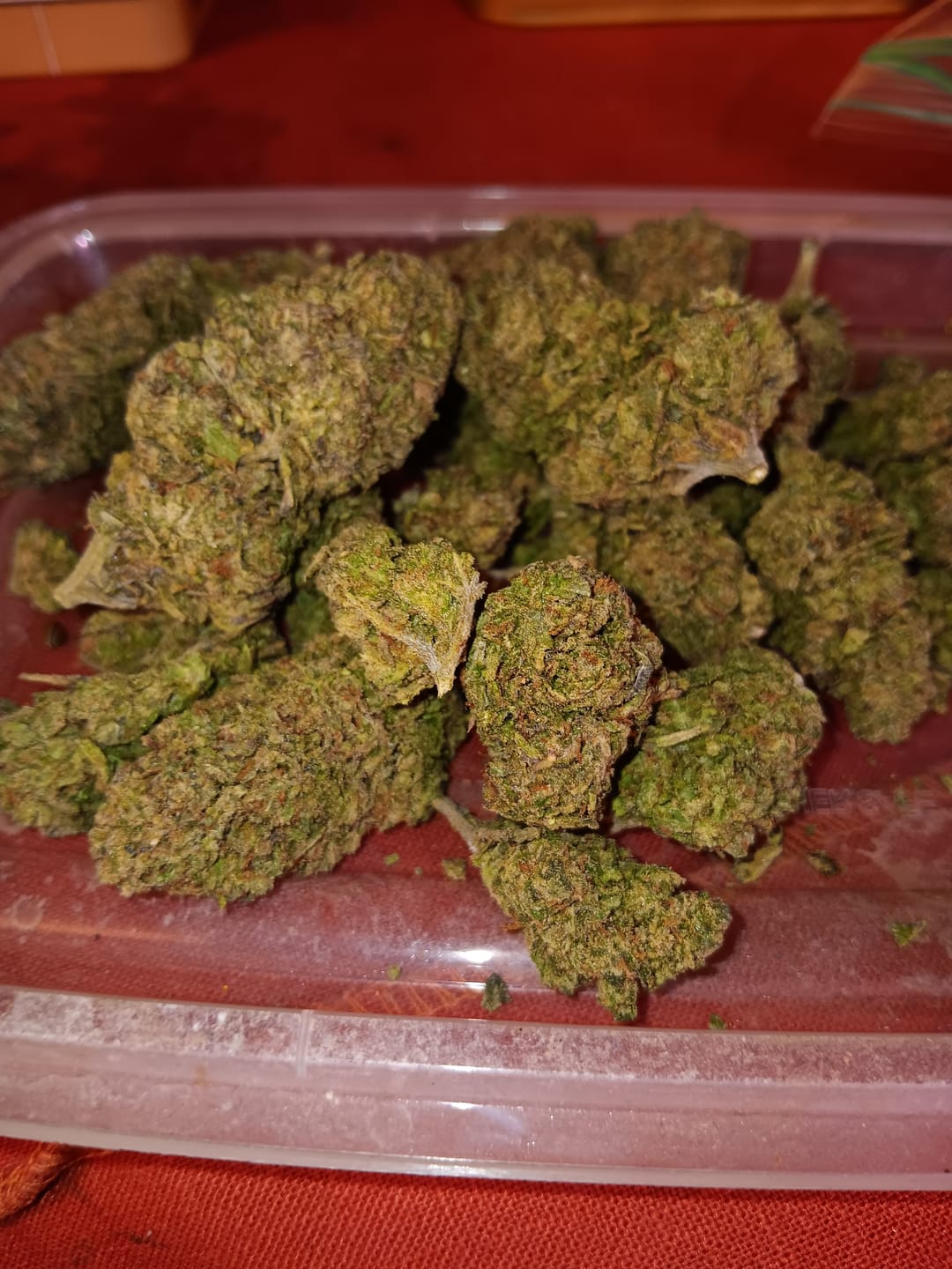 Customer photo review of Good Day - Velvet Cherries - 14 Grams - Indica