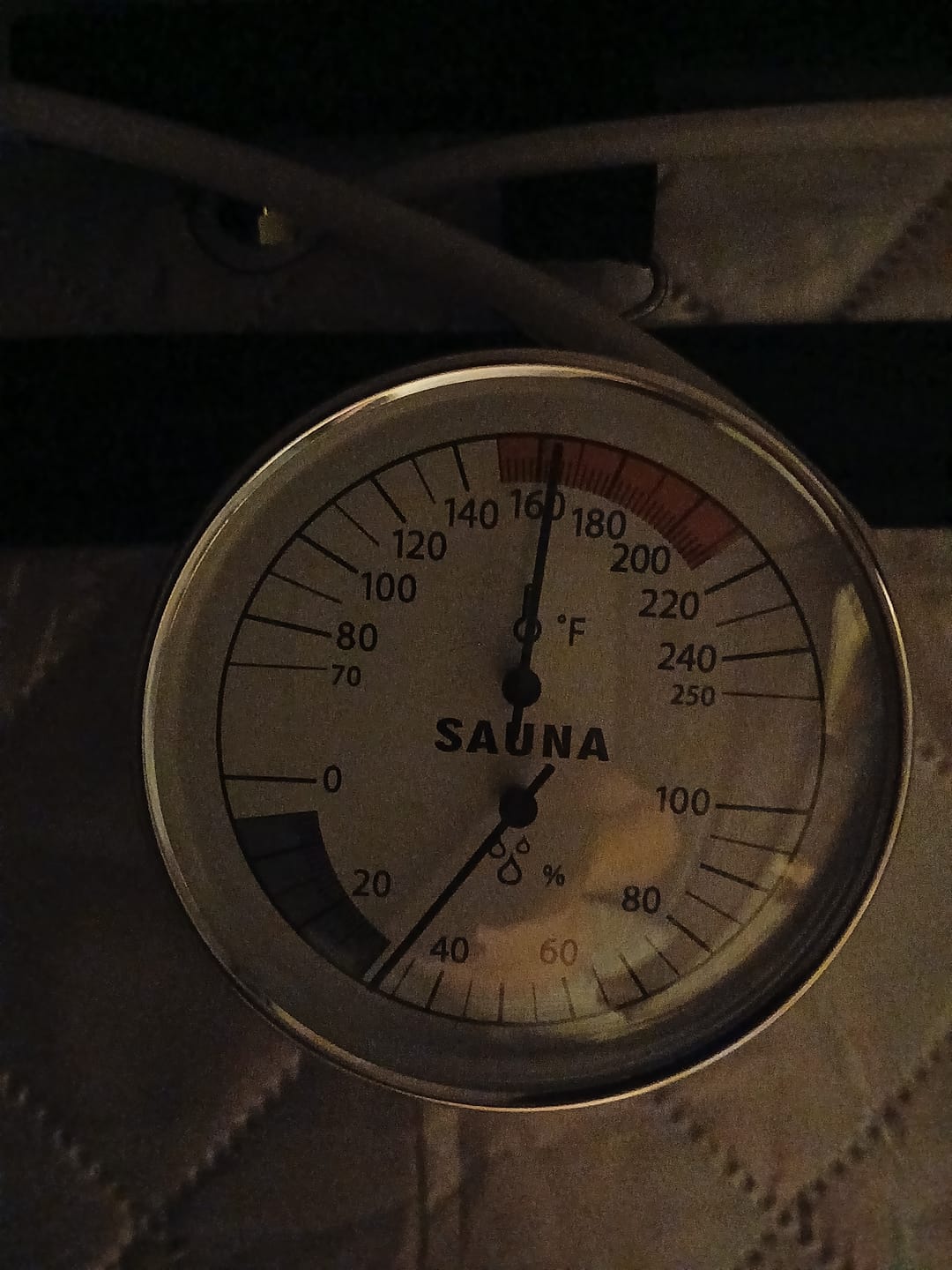 Customer photo review of SaunaPro® The World's First Clinical-Grade At-Home Red-Light Sauna