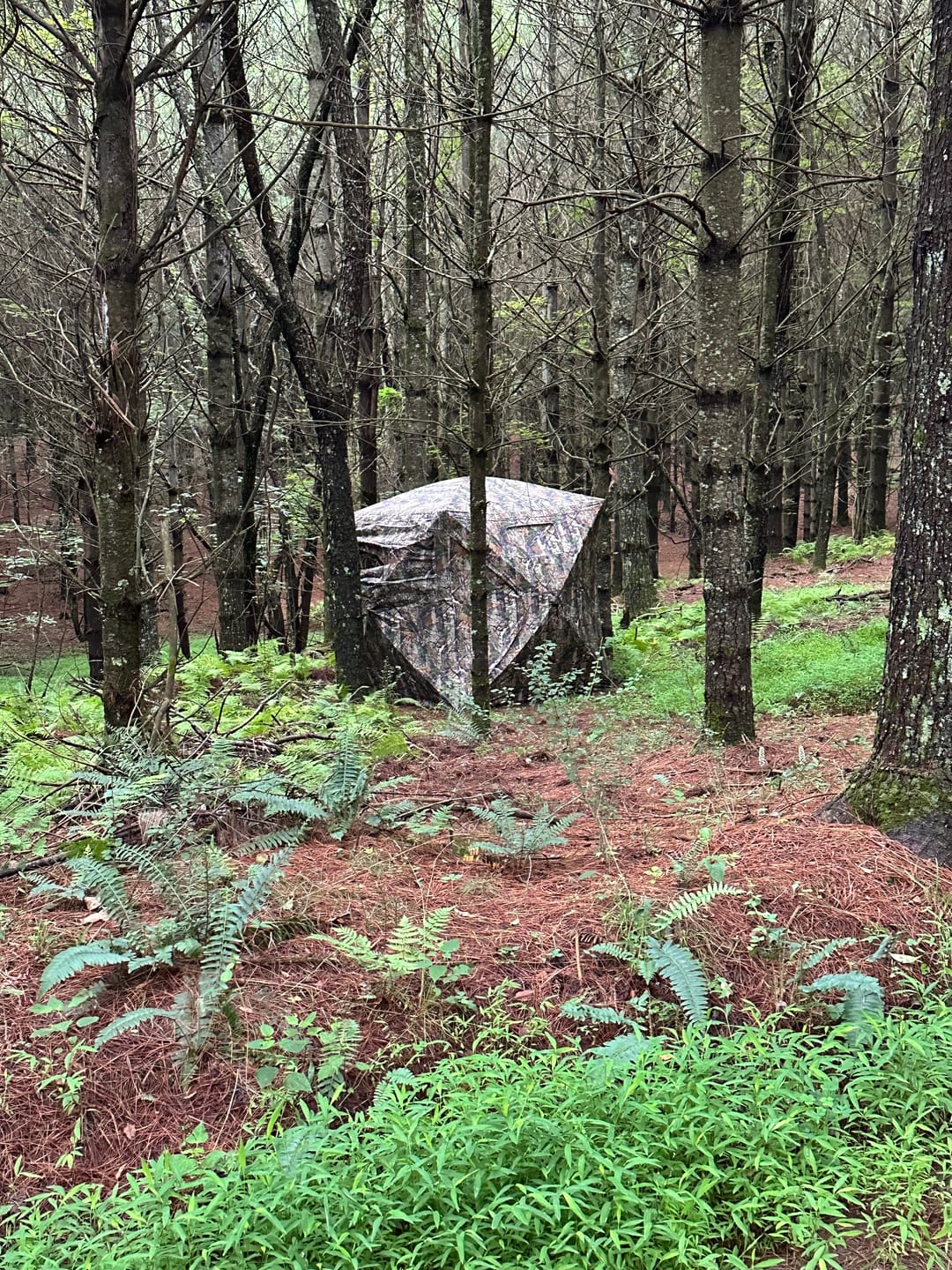 Customer photo review of VisMax See Through Blind | 270° Pop Up 3-4 Man Deer Blind | Portable Ground Blind Hunting for Sale with Hunters Comfort Design