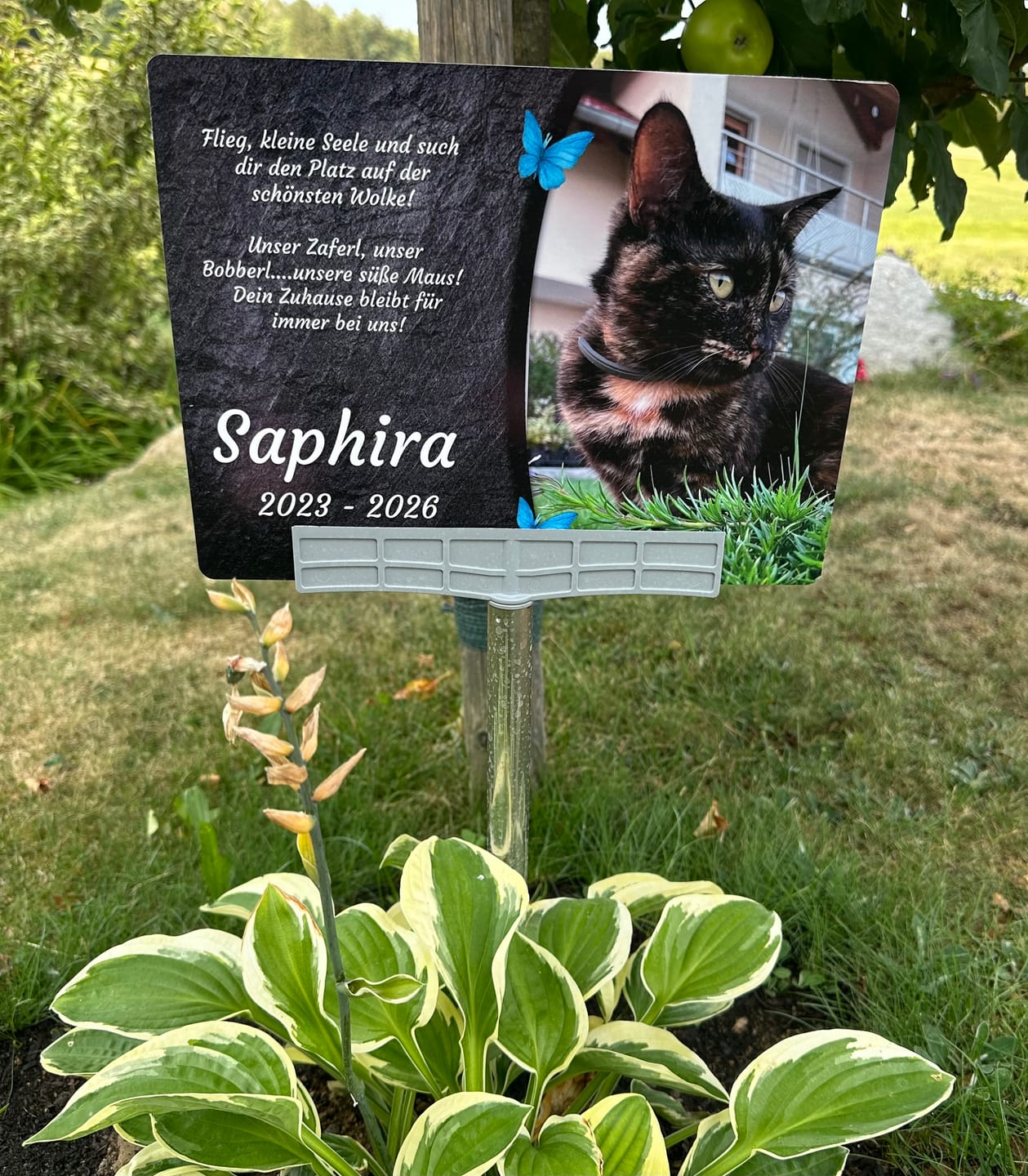 Customer photo review of Katzen Gedenktafel mit Foto & Spruch (UV- & Wetterfest)