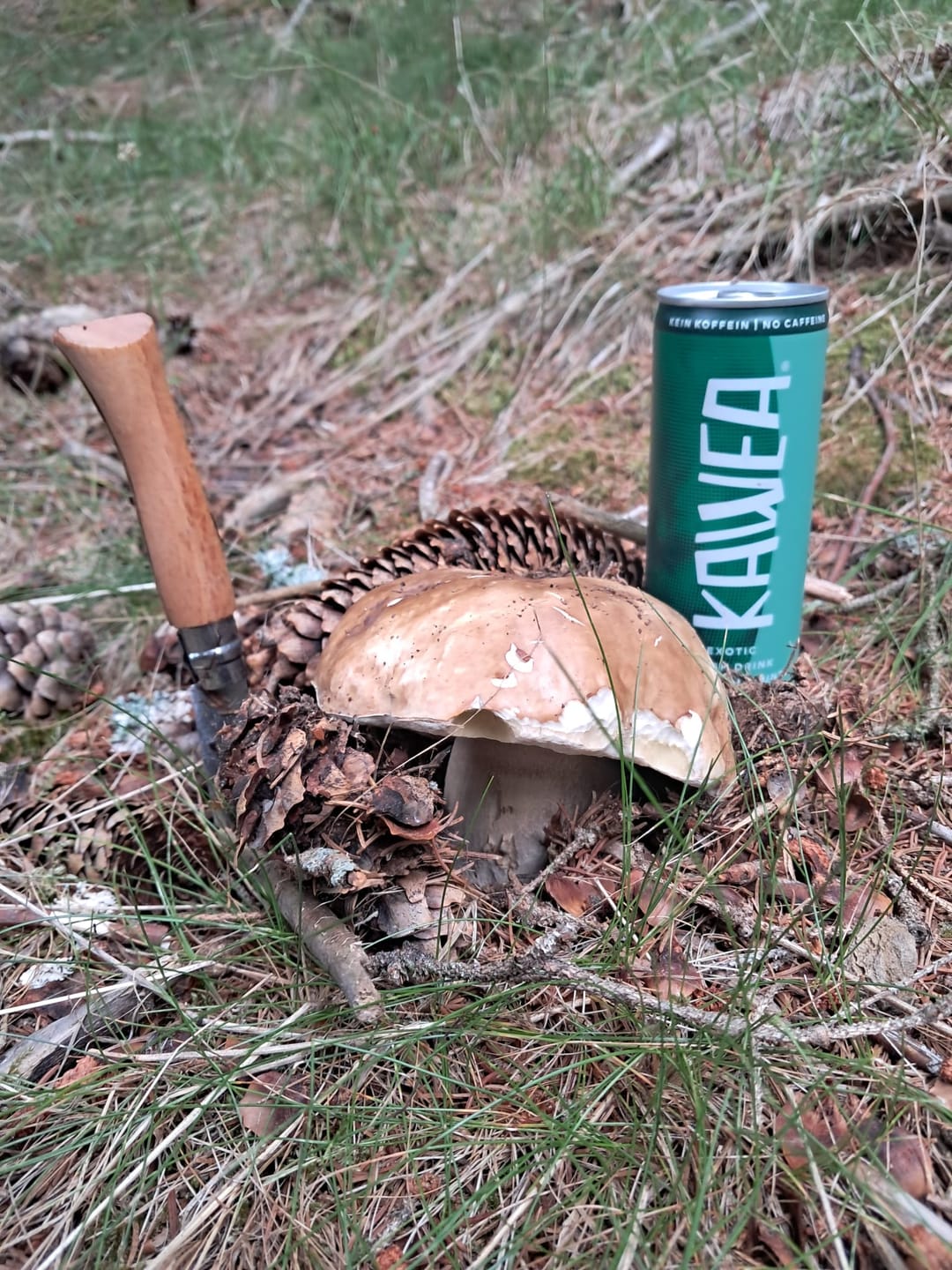 Customer photo review of KAWEA fresh drink 24er tray (zzgl. 6€ Pfand)